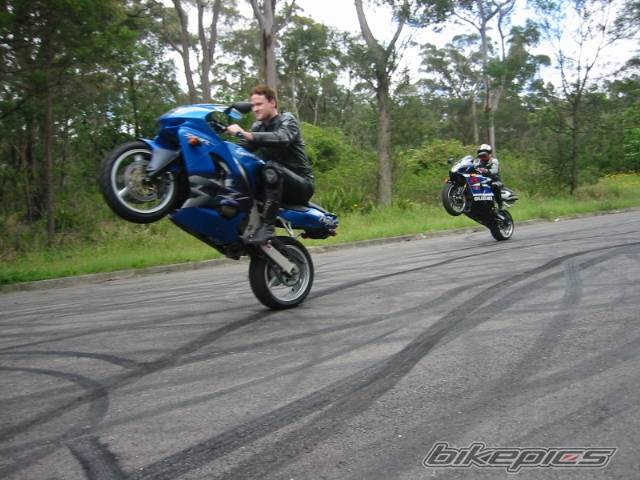 Photo 235378