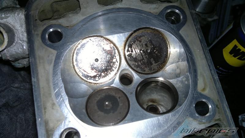 Photo 2353783