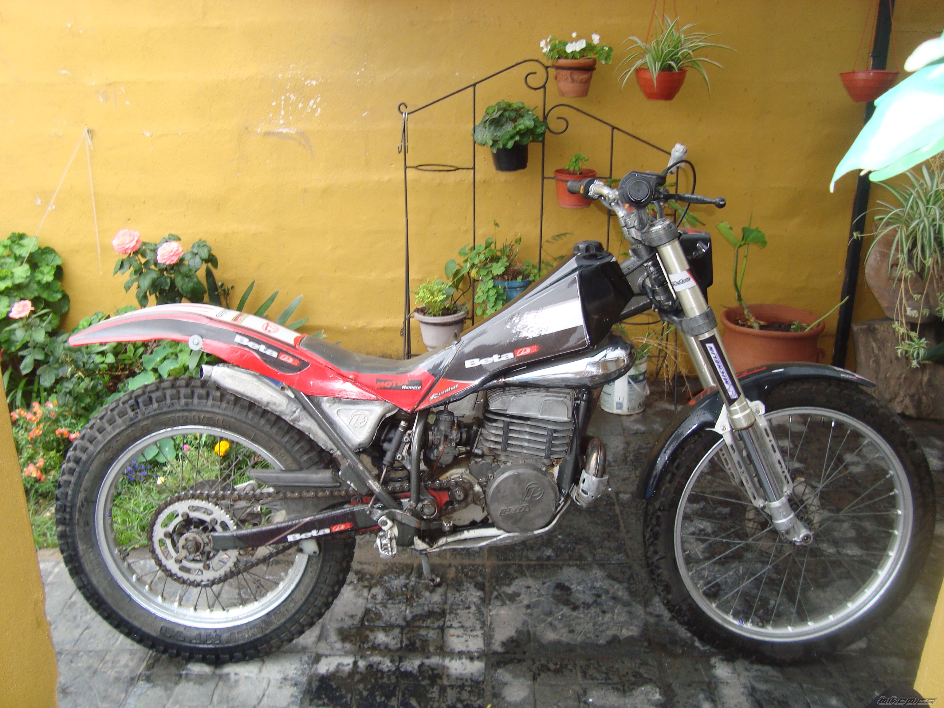 Bike Photo 2353828