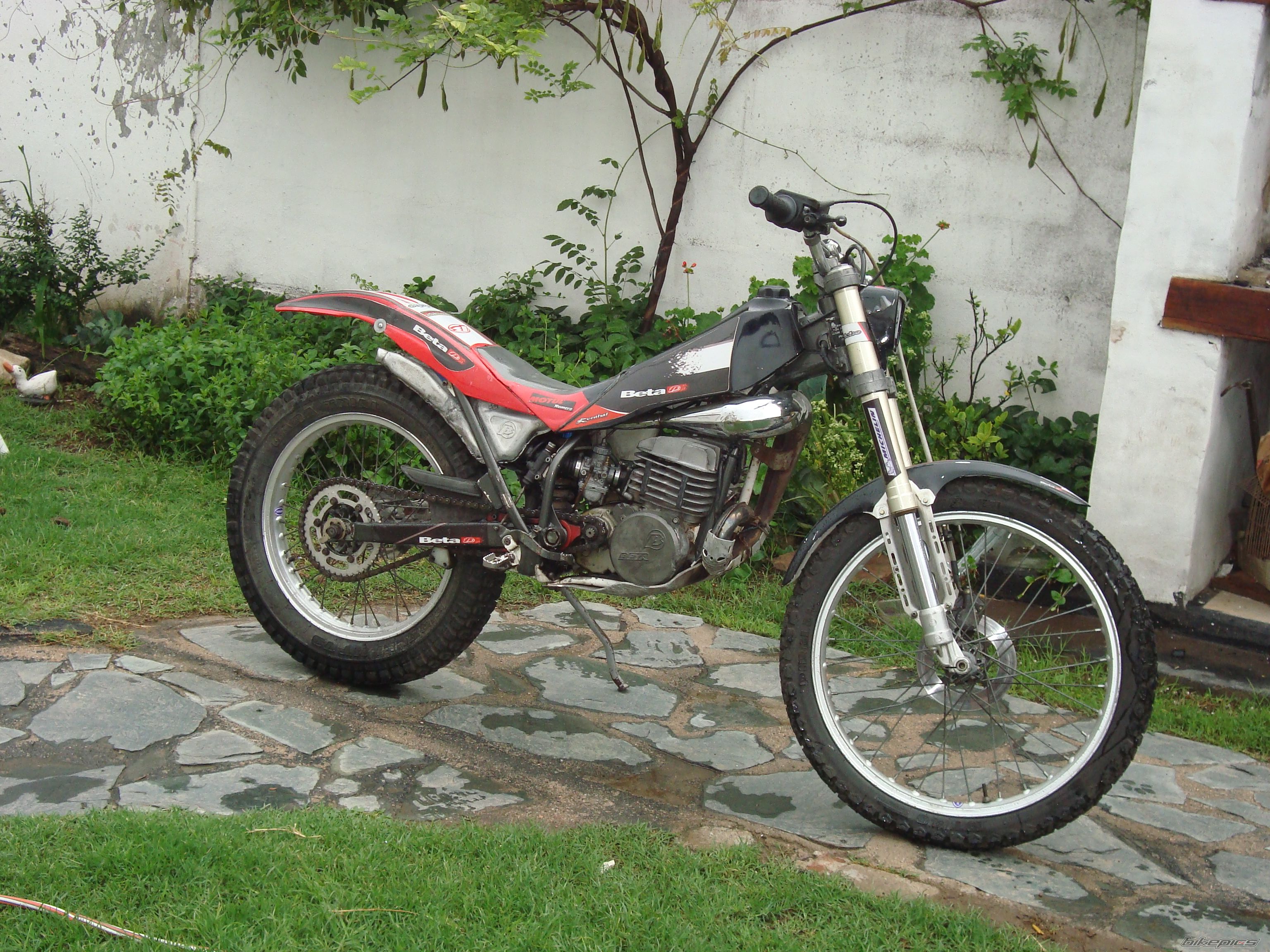 Photo 2353829