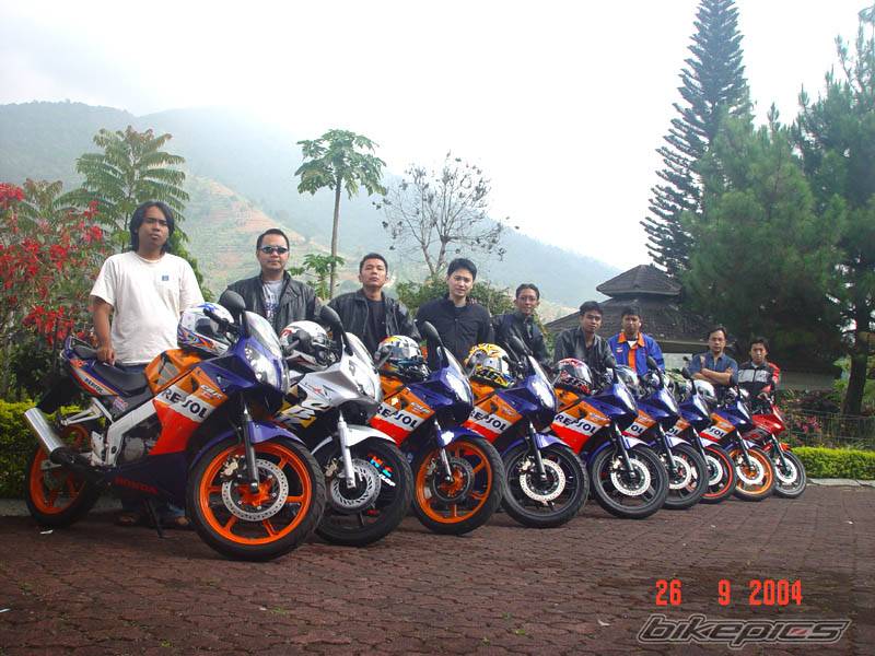 Photo 235384