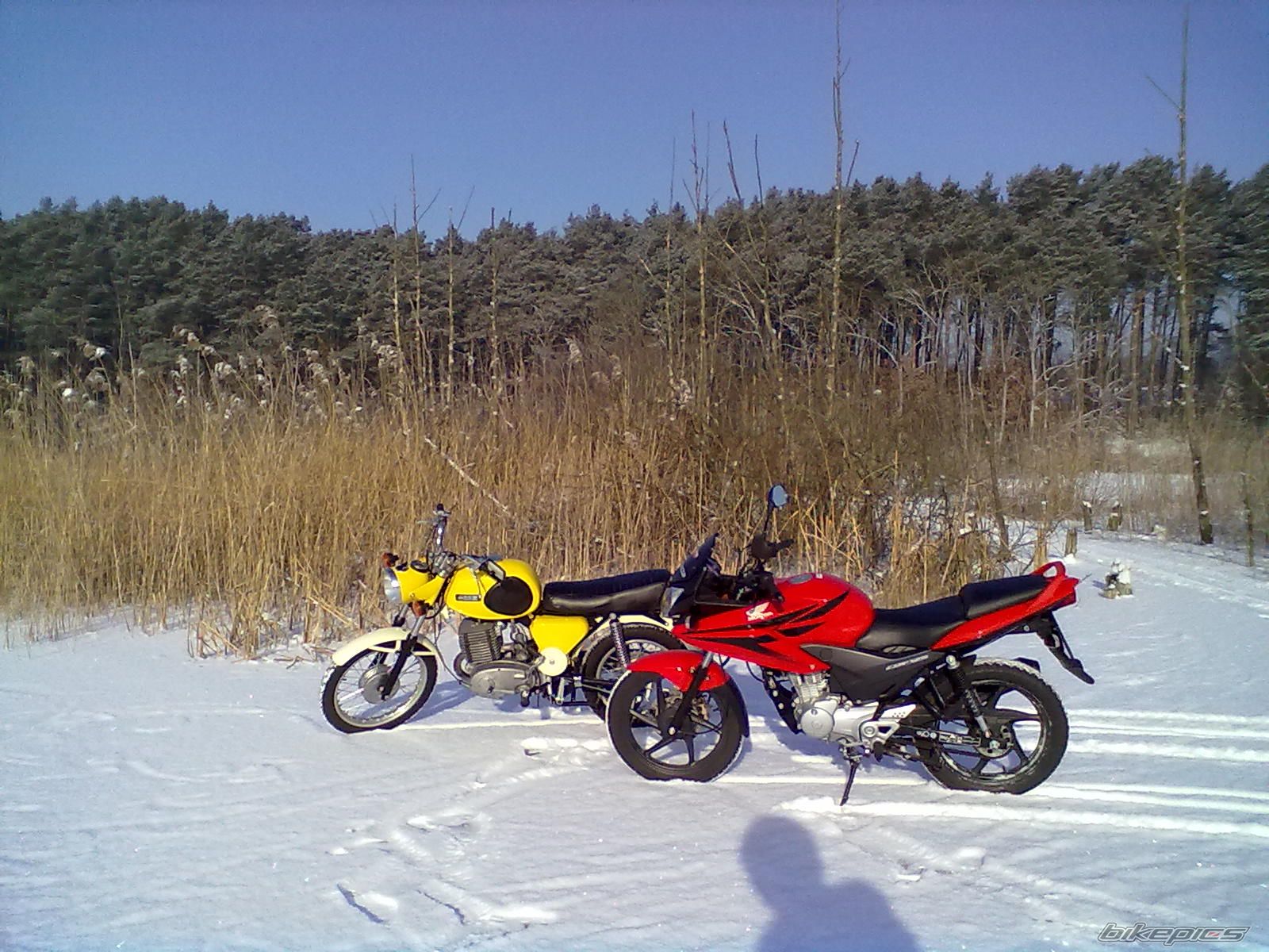Photo 2354012