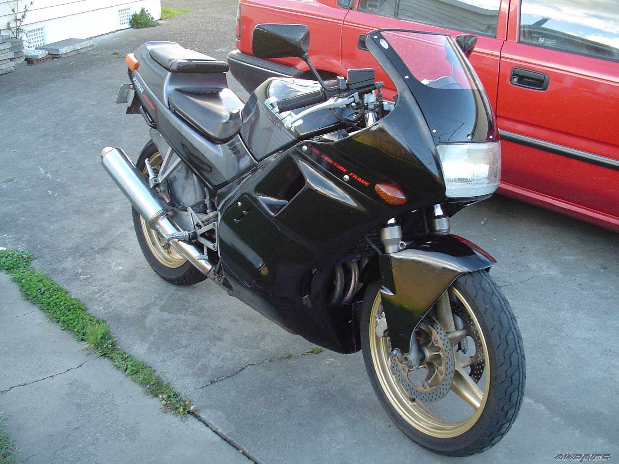 Photo 235406