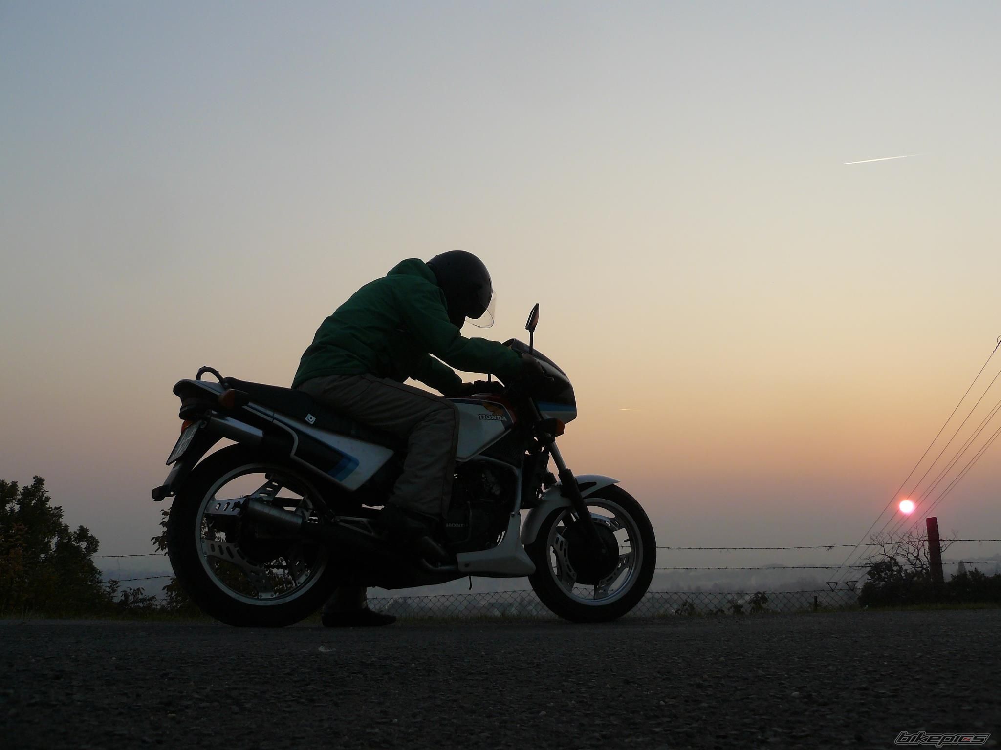MVX 250