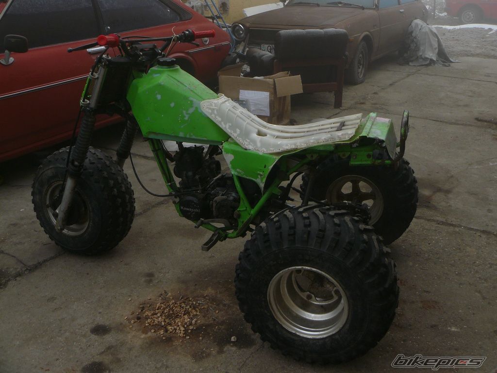 Photo 2354146