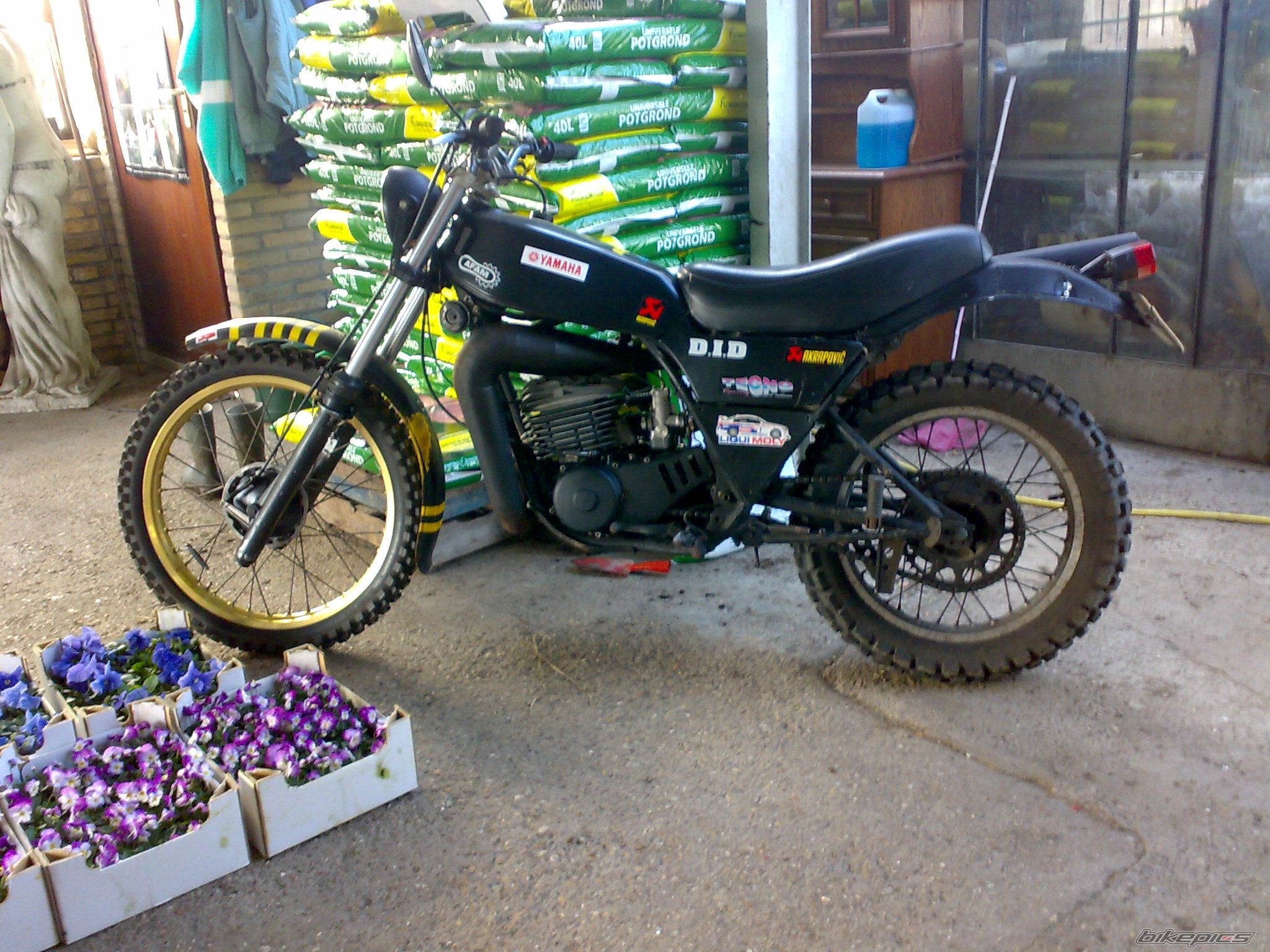 Bike Photo 2354205