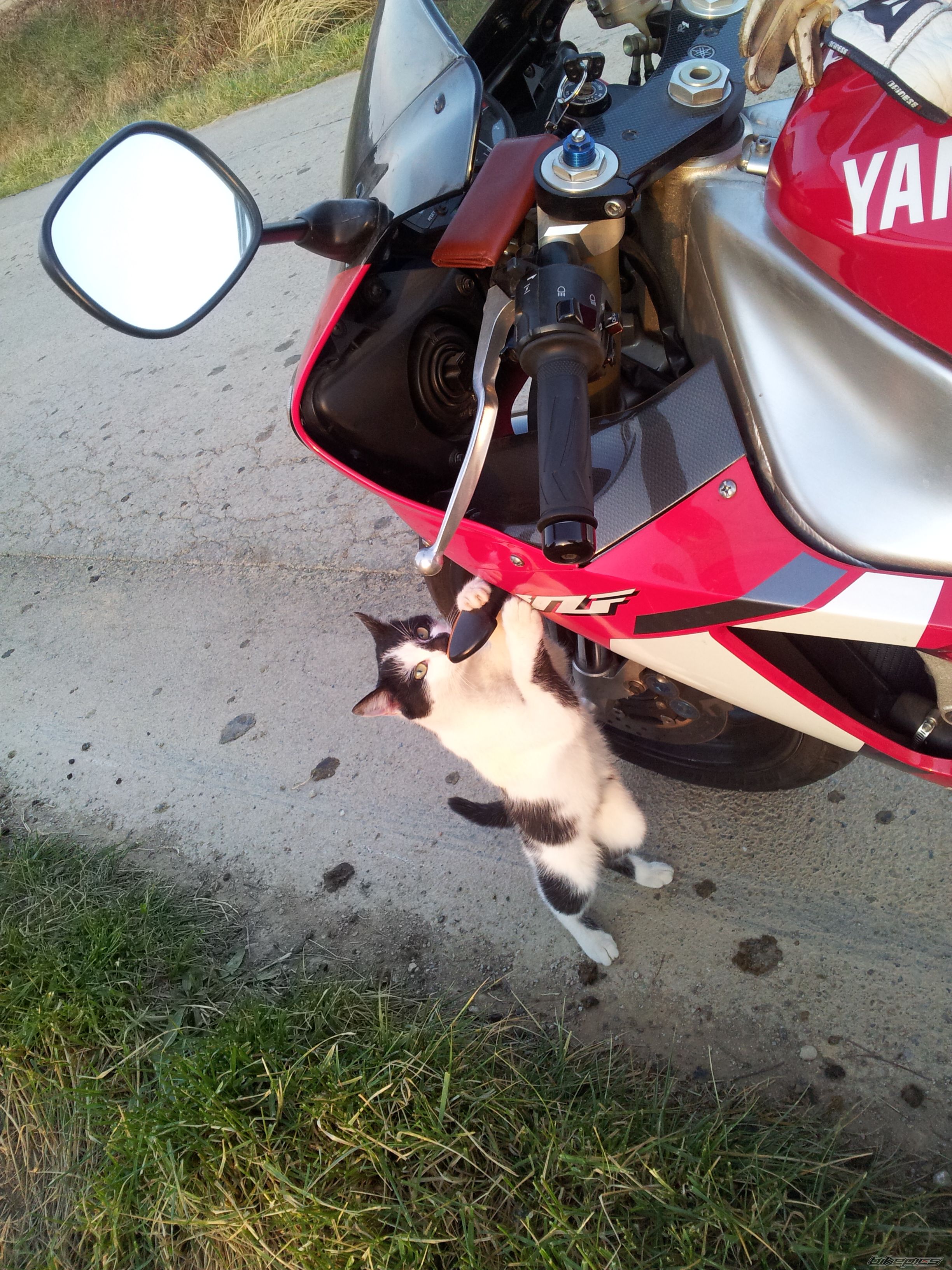 Photo 2354290