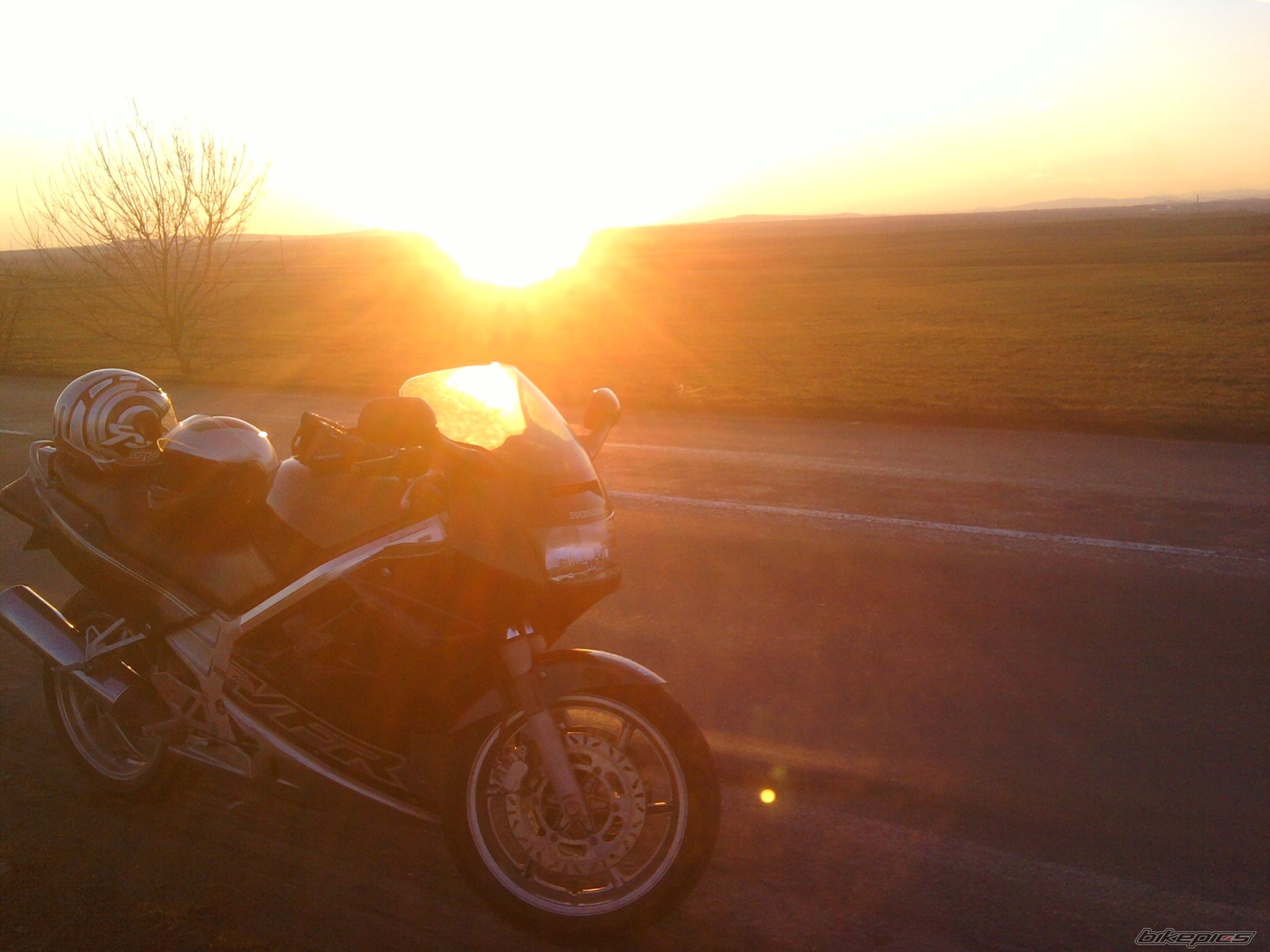 Photo 2354348