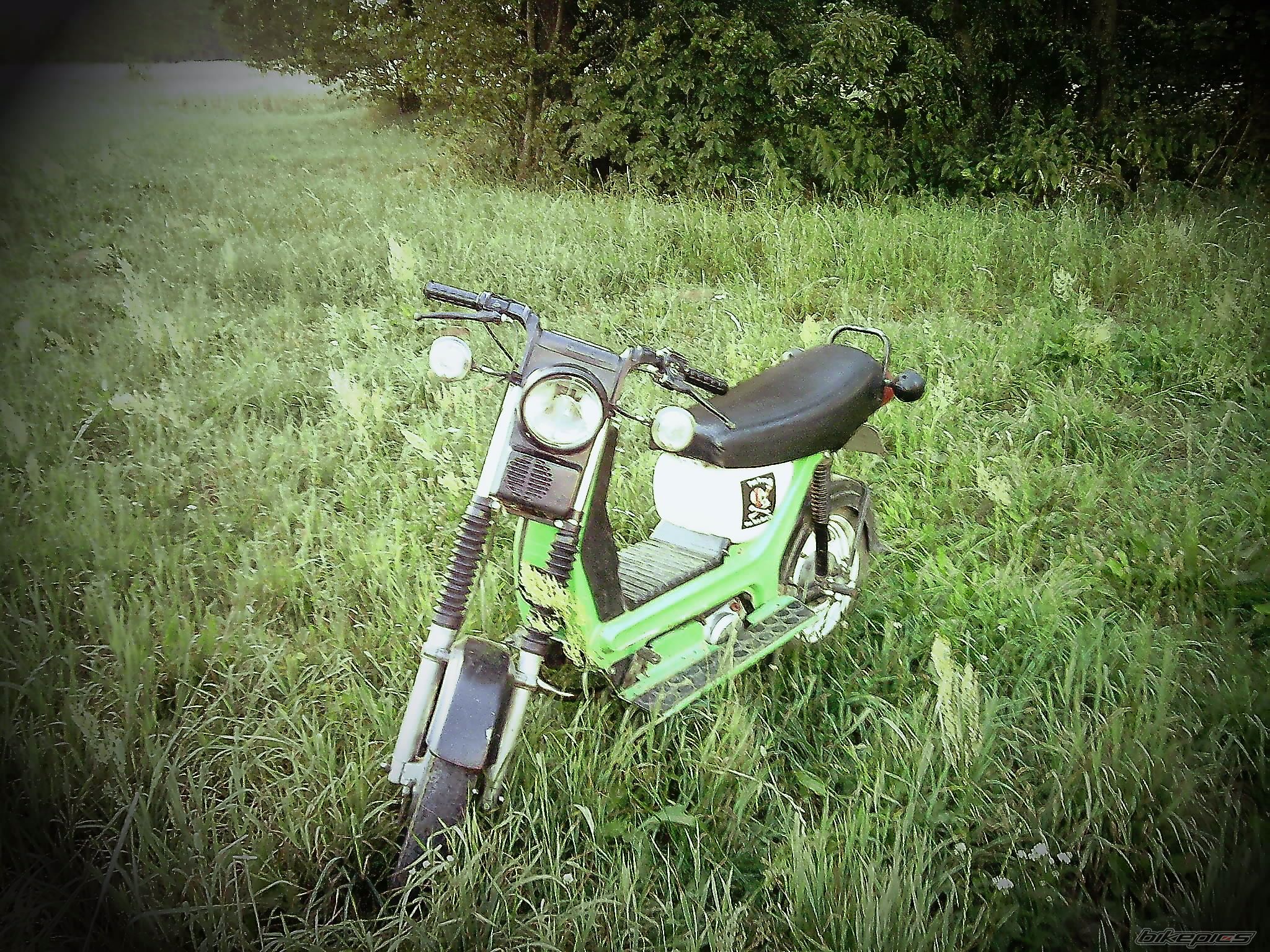 Photo 2354353