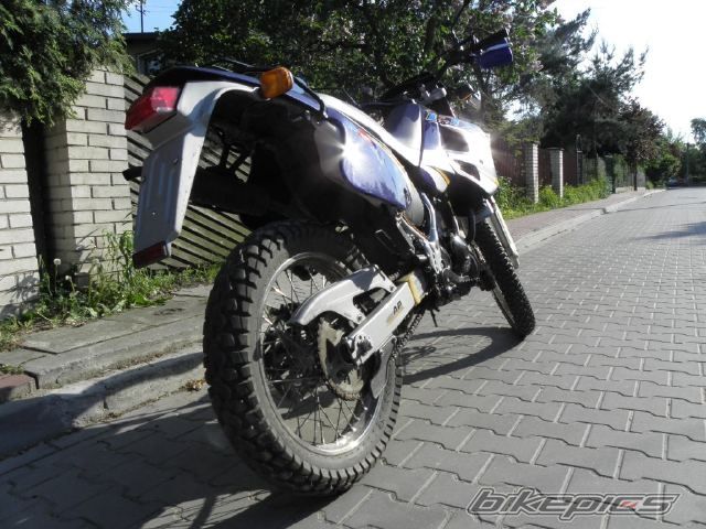 Photo 2354427