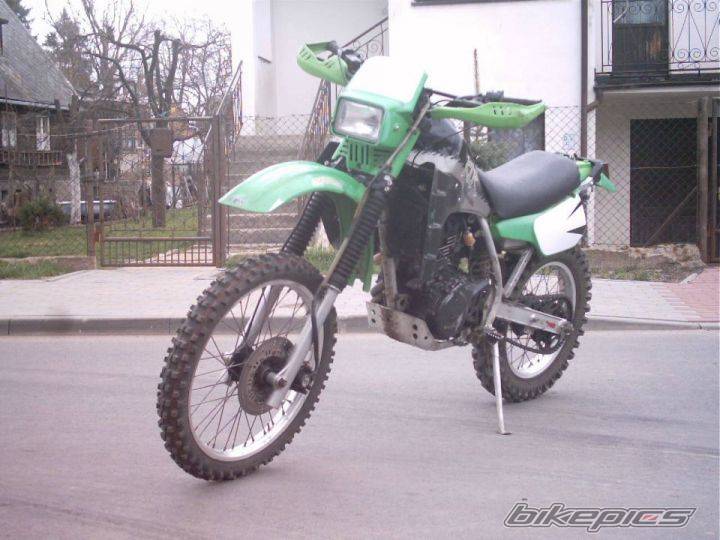 Photo 235447