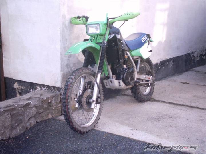 Photo 235448