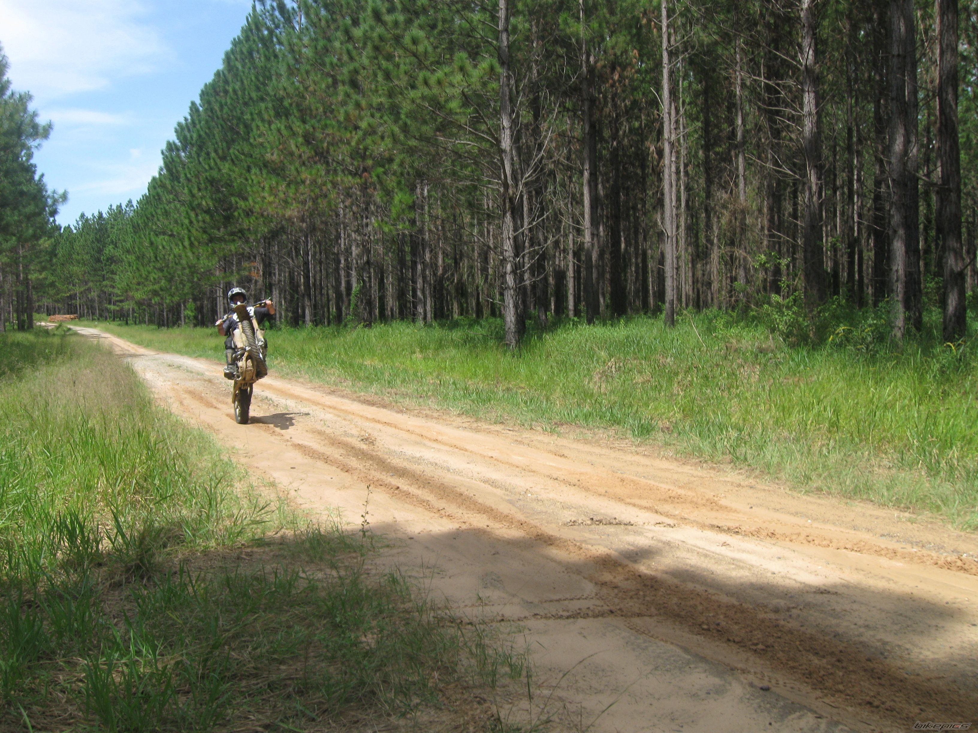 Bike Photo 2354562