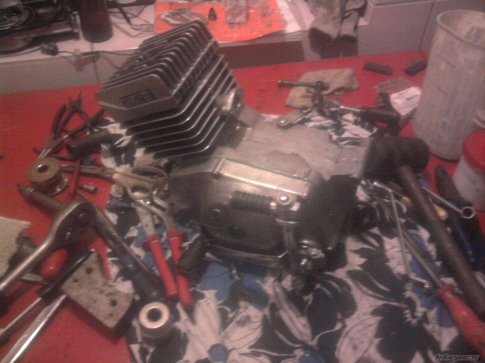 Photo 2354656