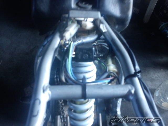Photo 2354681
