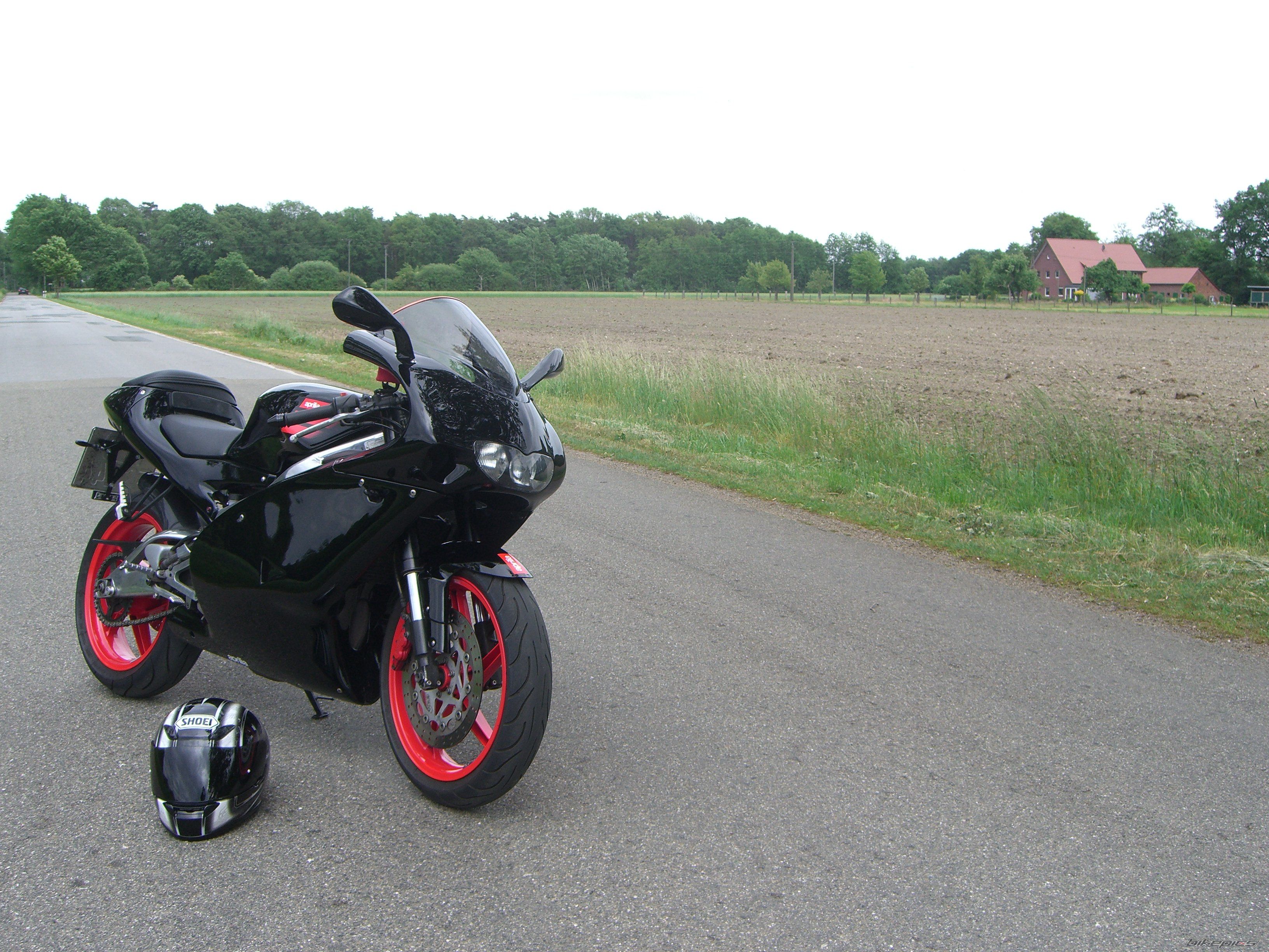 Photo 2354833