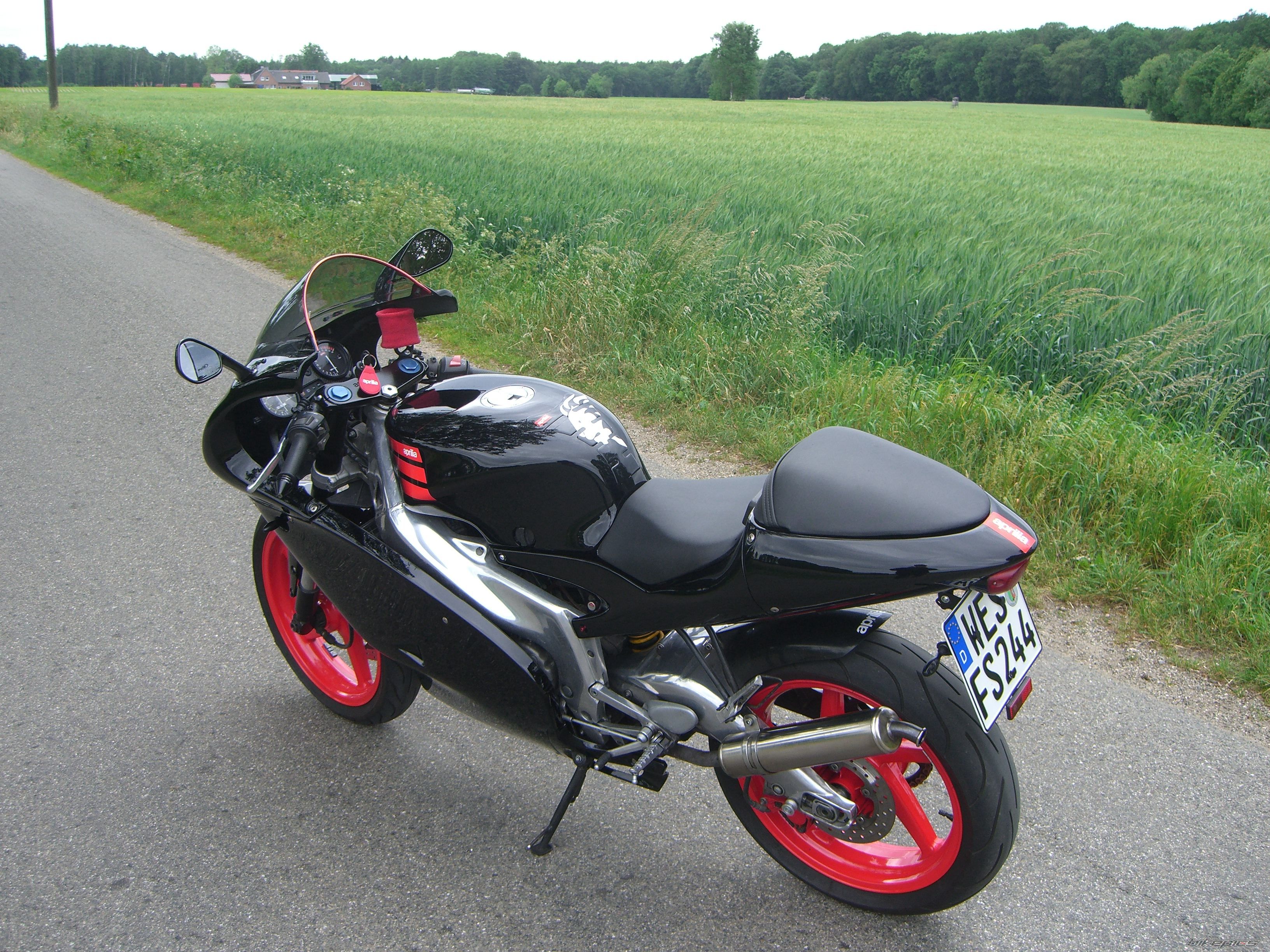 Photo 2354837