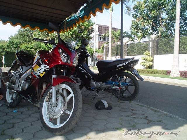 Photo 235484