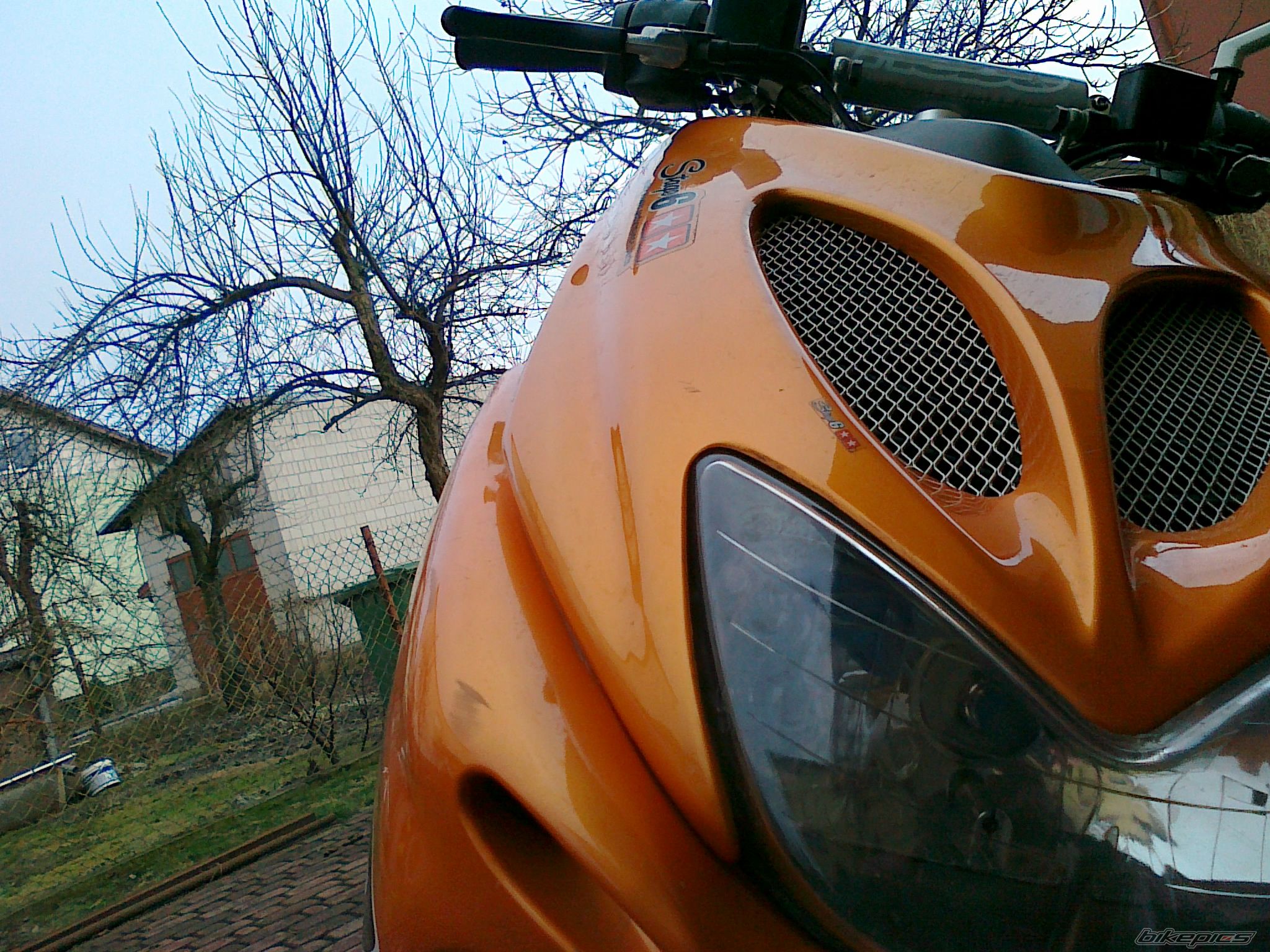 Photo 2354883
