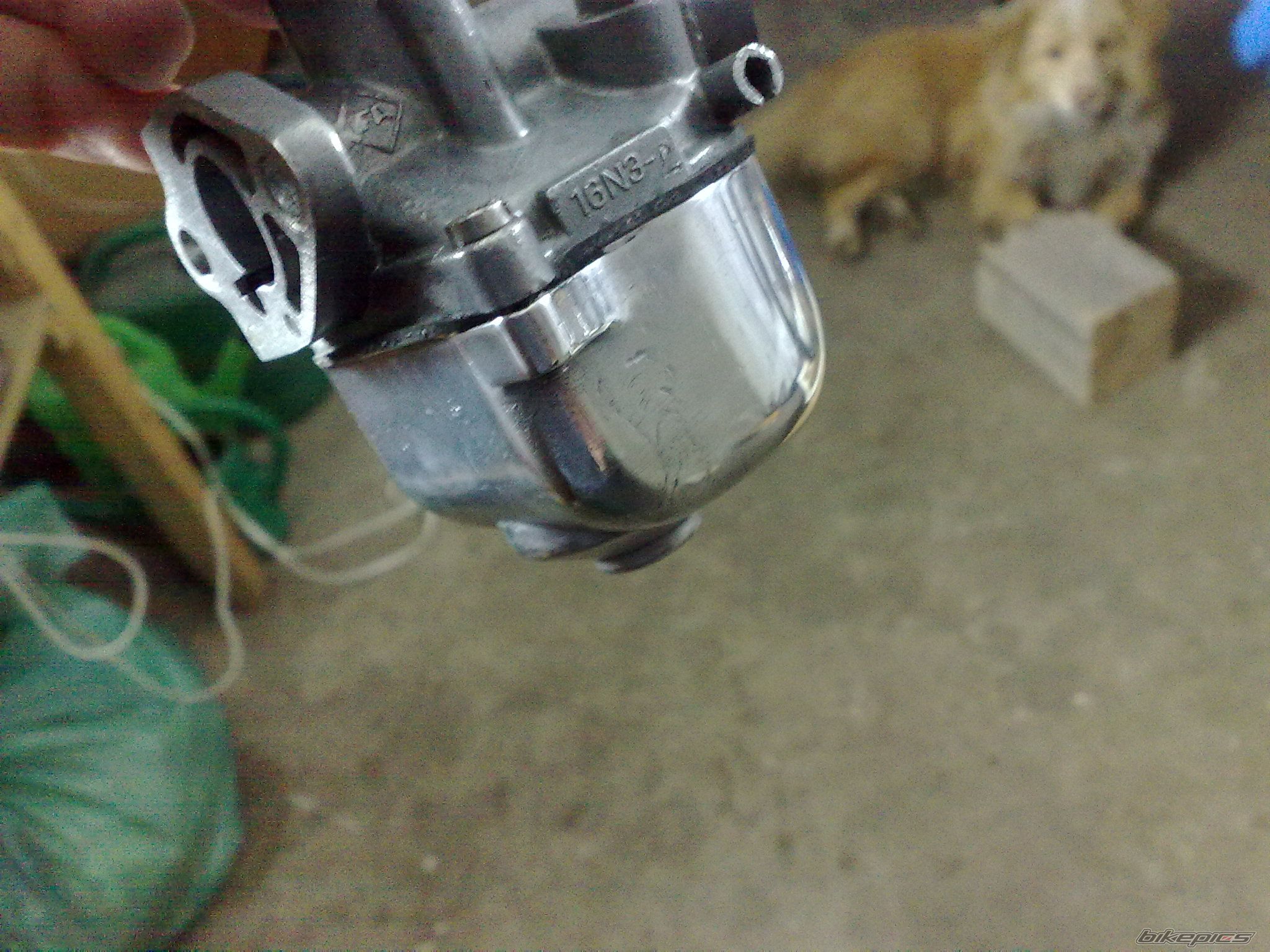 Photo 2355010