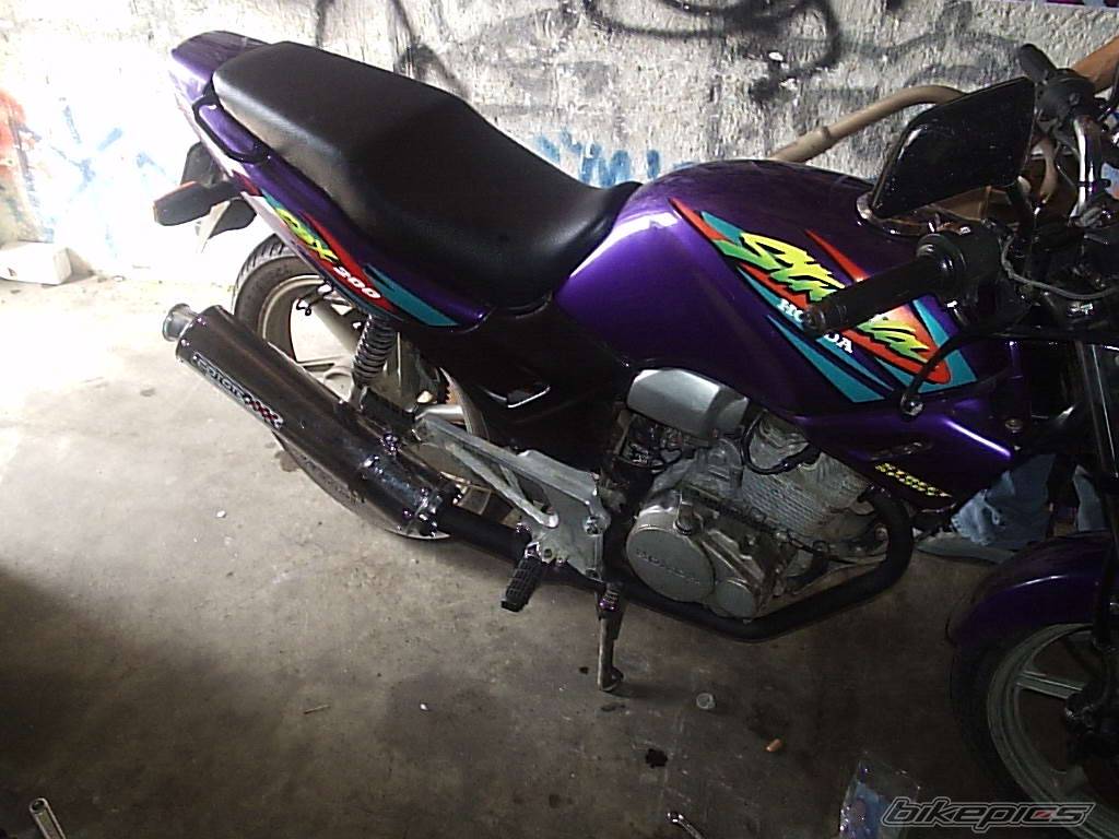 Photo 235519