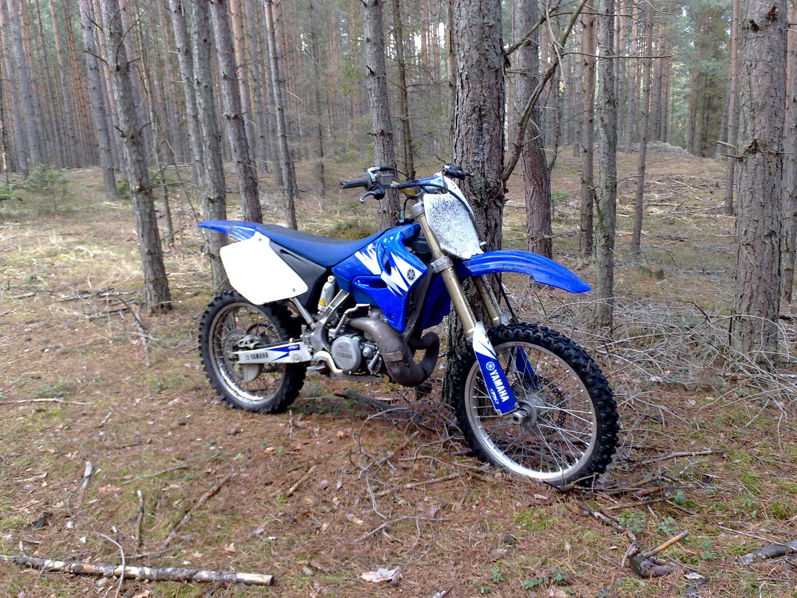 Photo 2355199