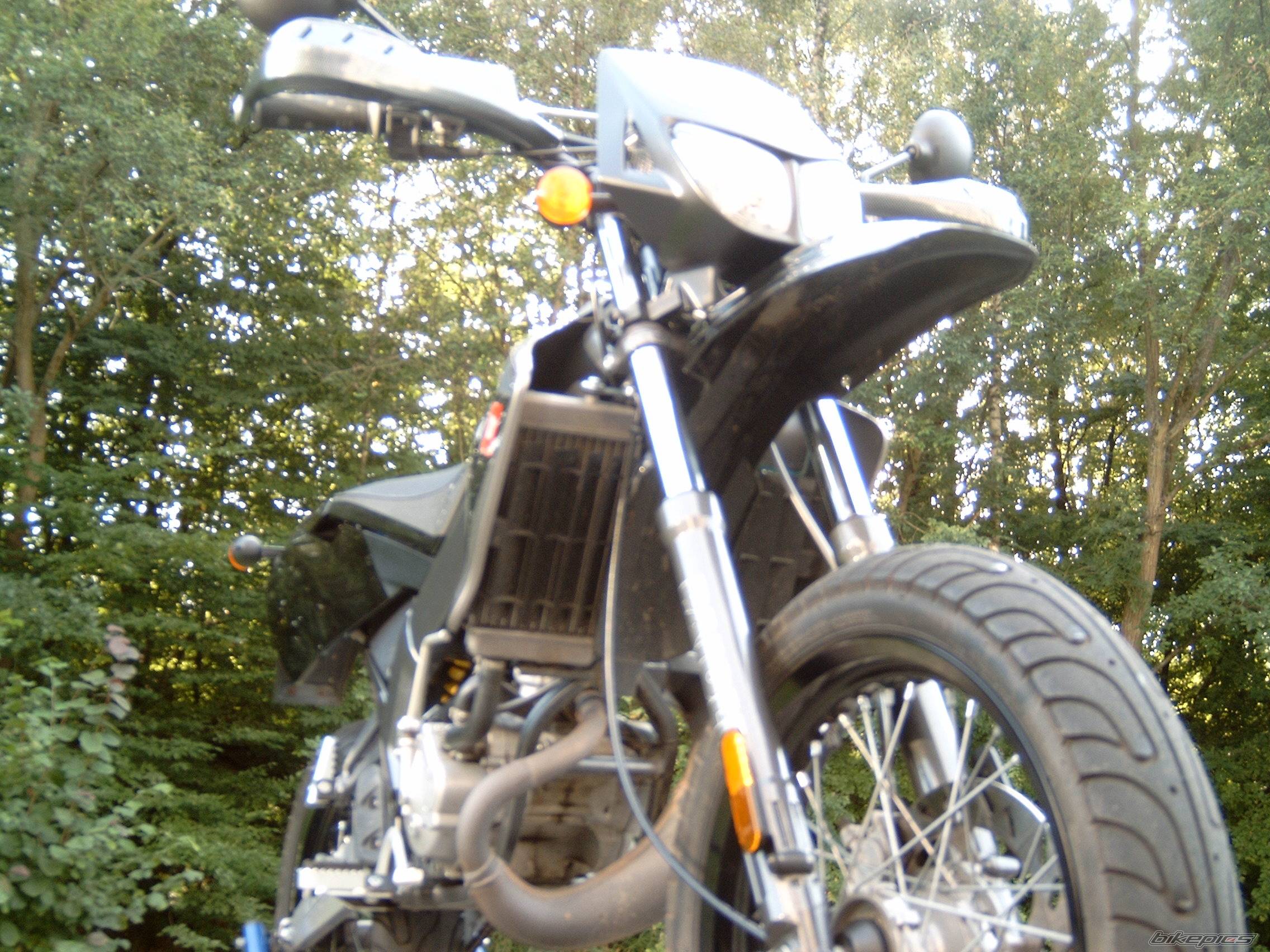 Photo 235523