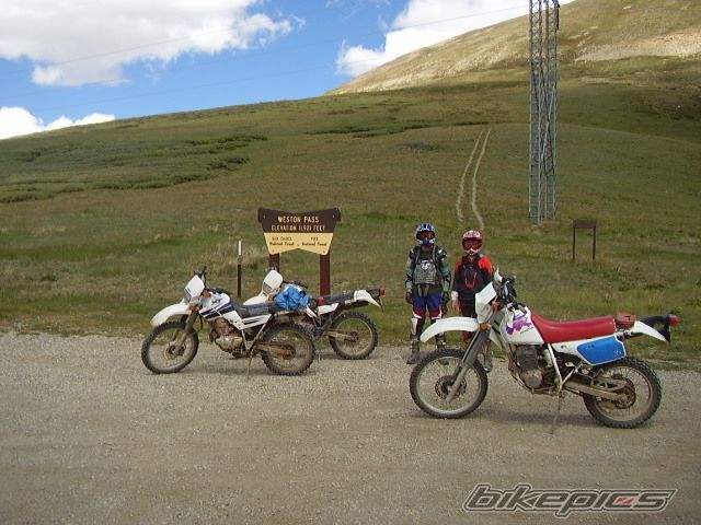 Photo 2355241