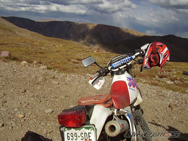 Photo 2355242