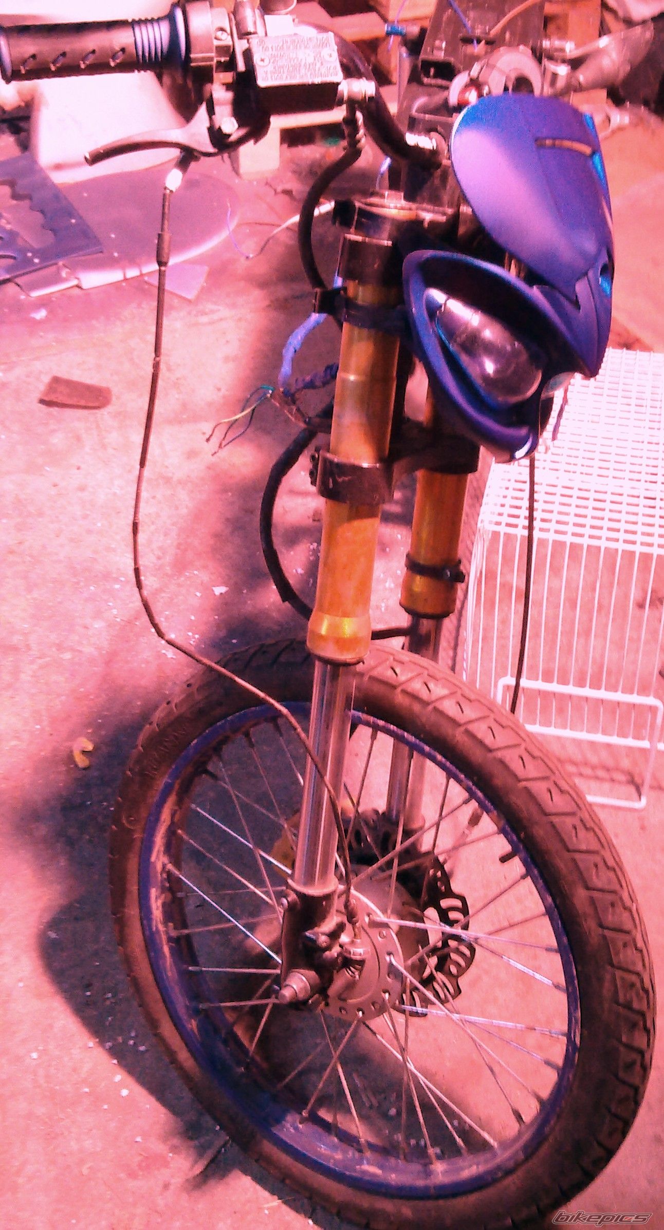 Photo 2355252