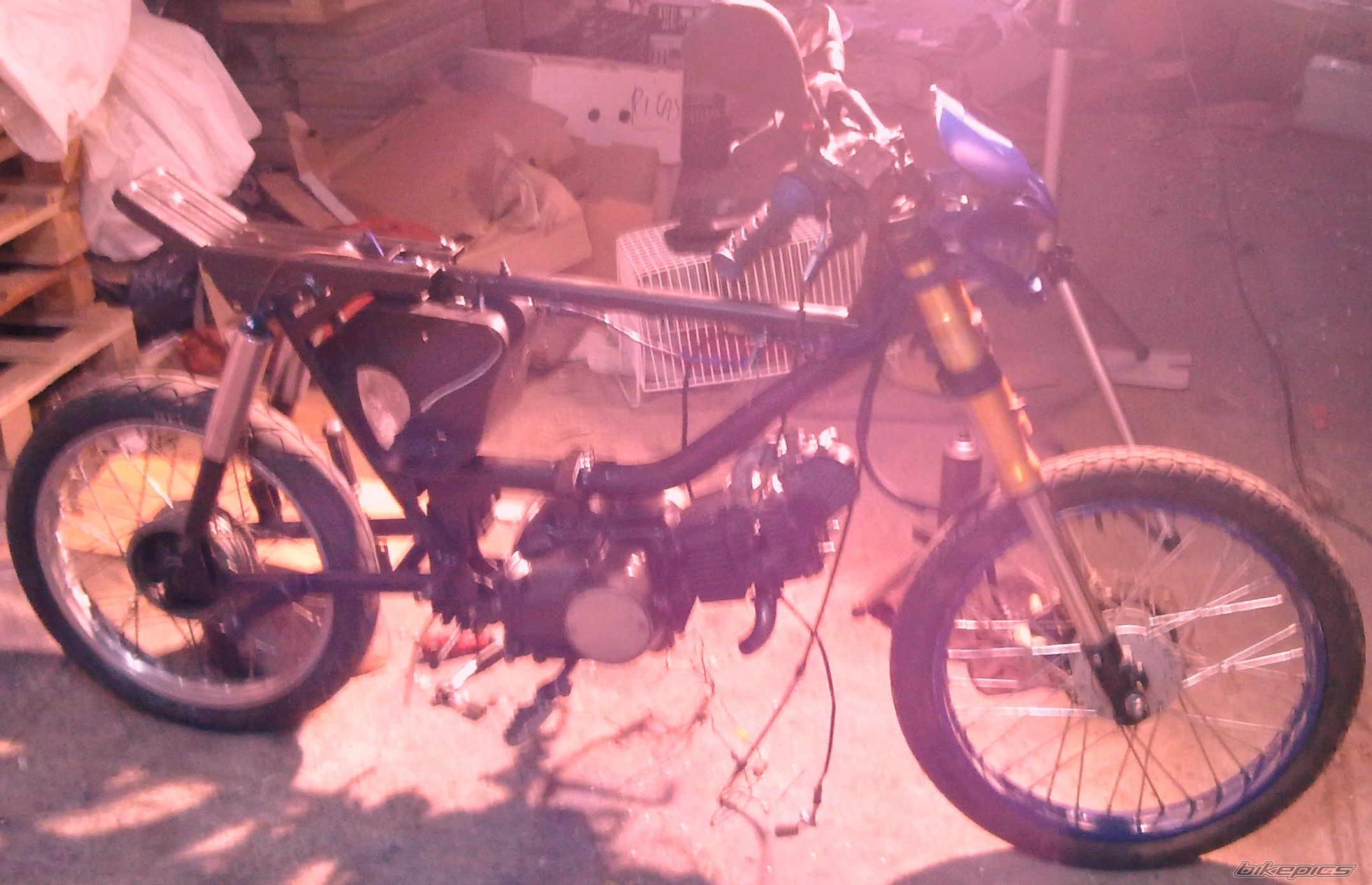 Photo 2355256