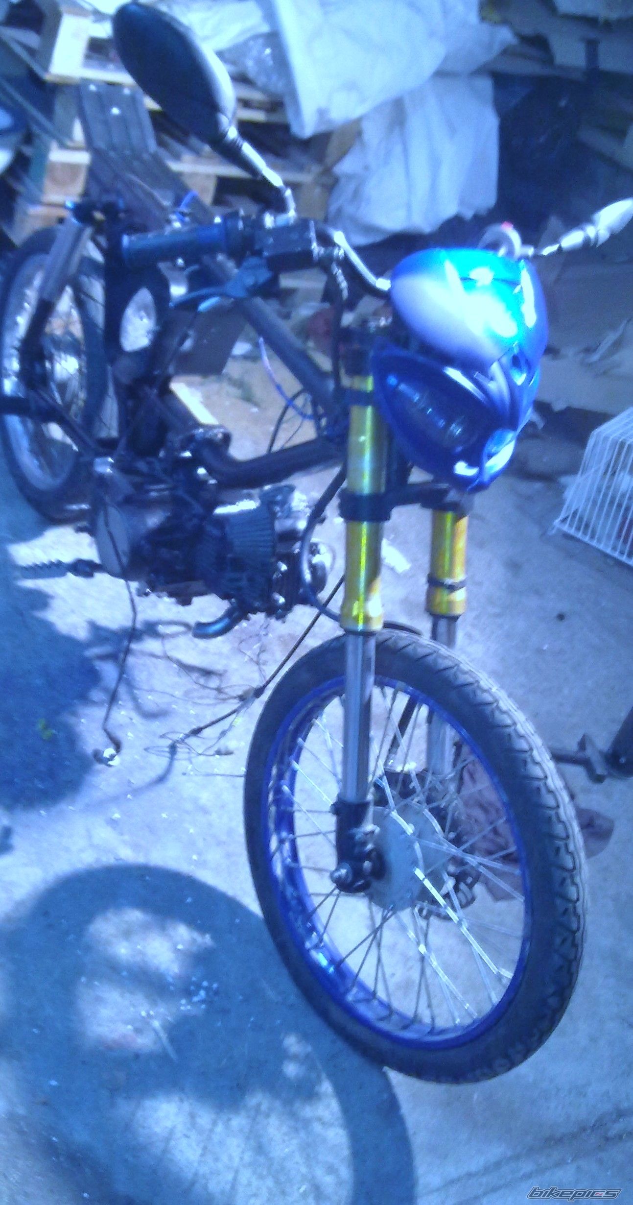 Photo 2355257
