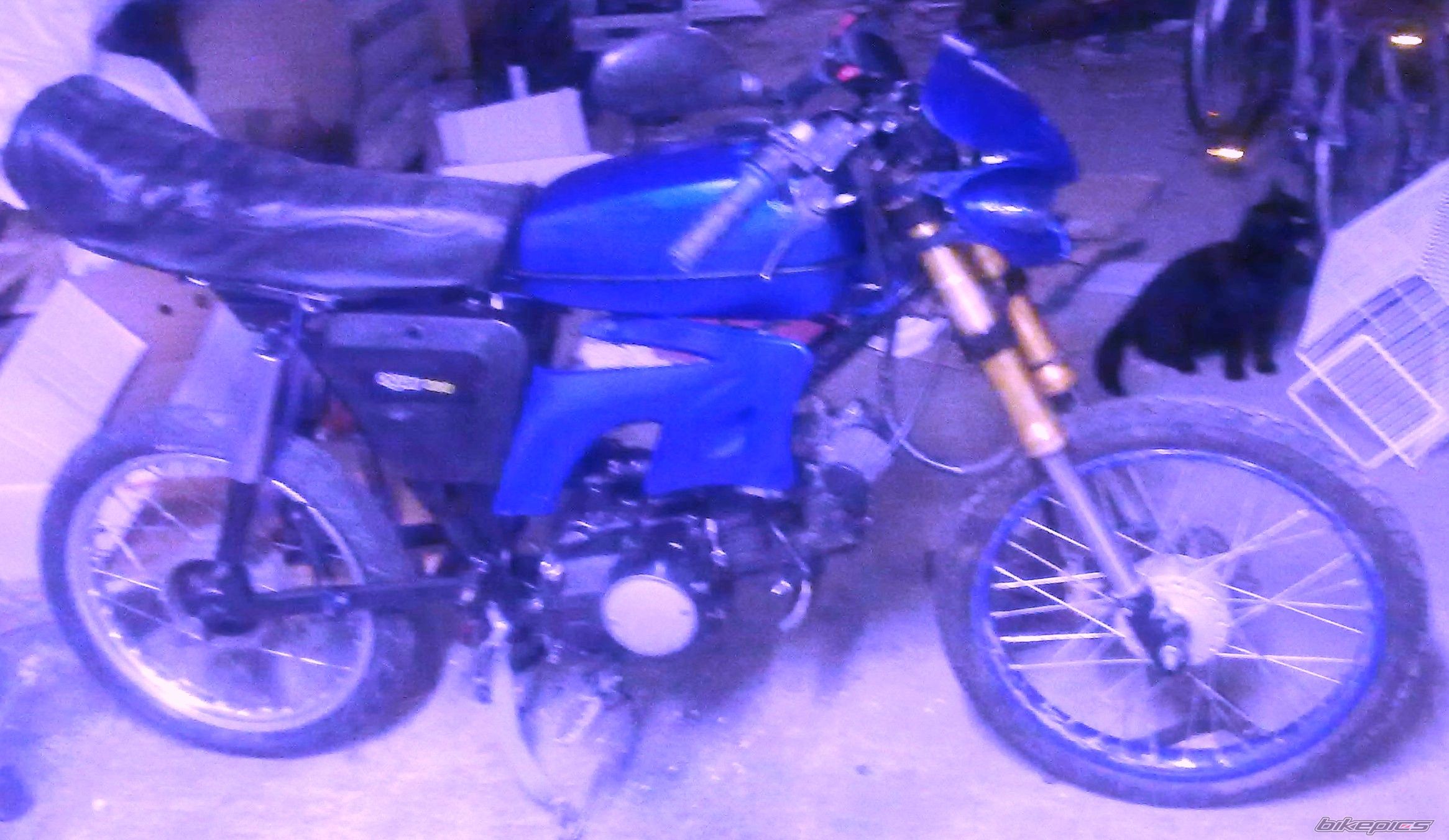 Photo 2355263