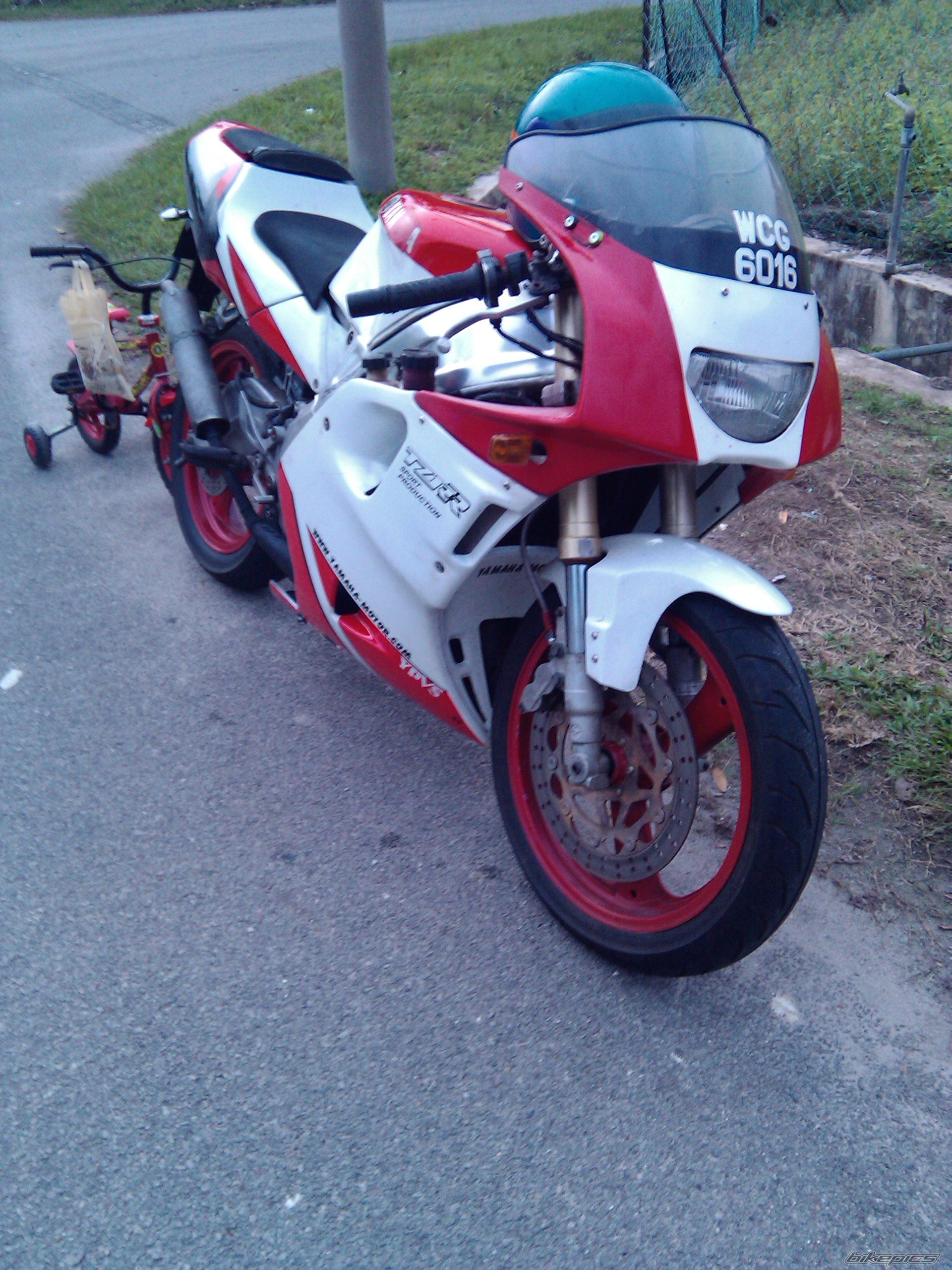 Photo 2355448