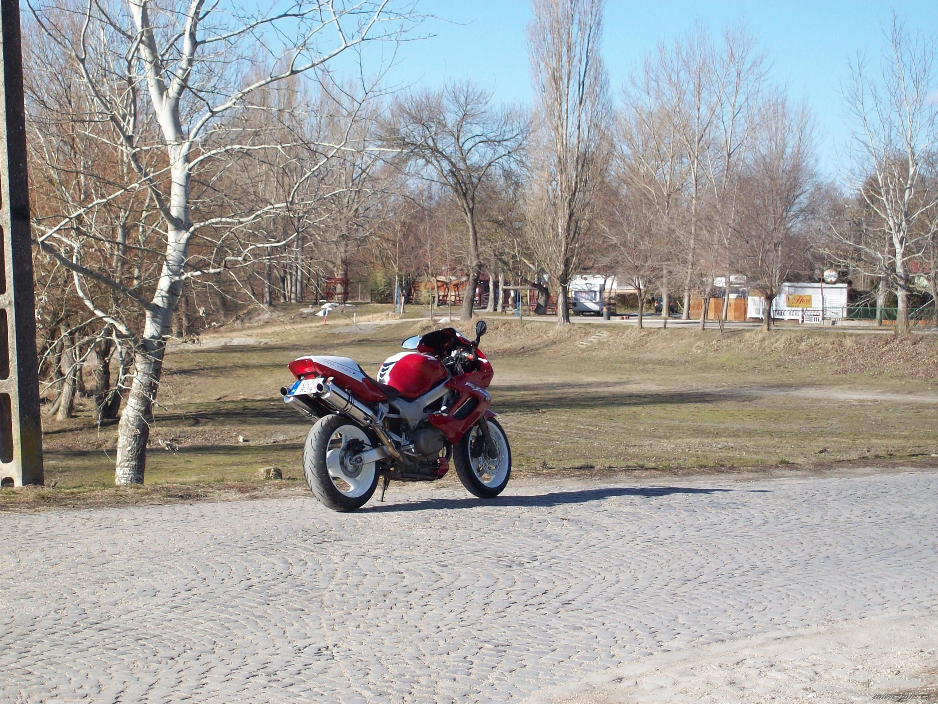 Photo 2355595