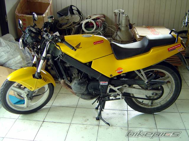 Photo 235560