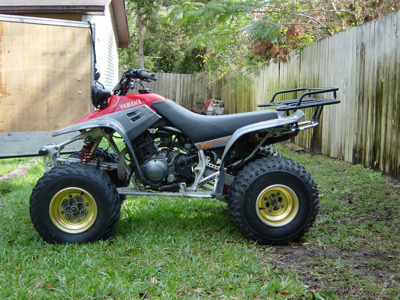 Photo 235569