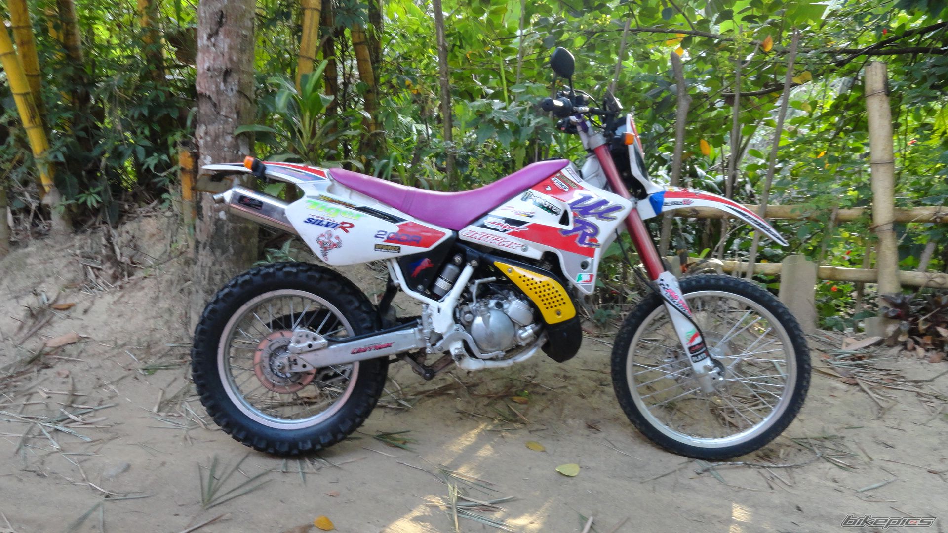 Photo 2355722