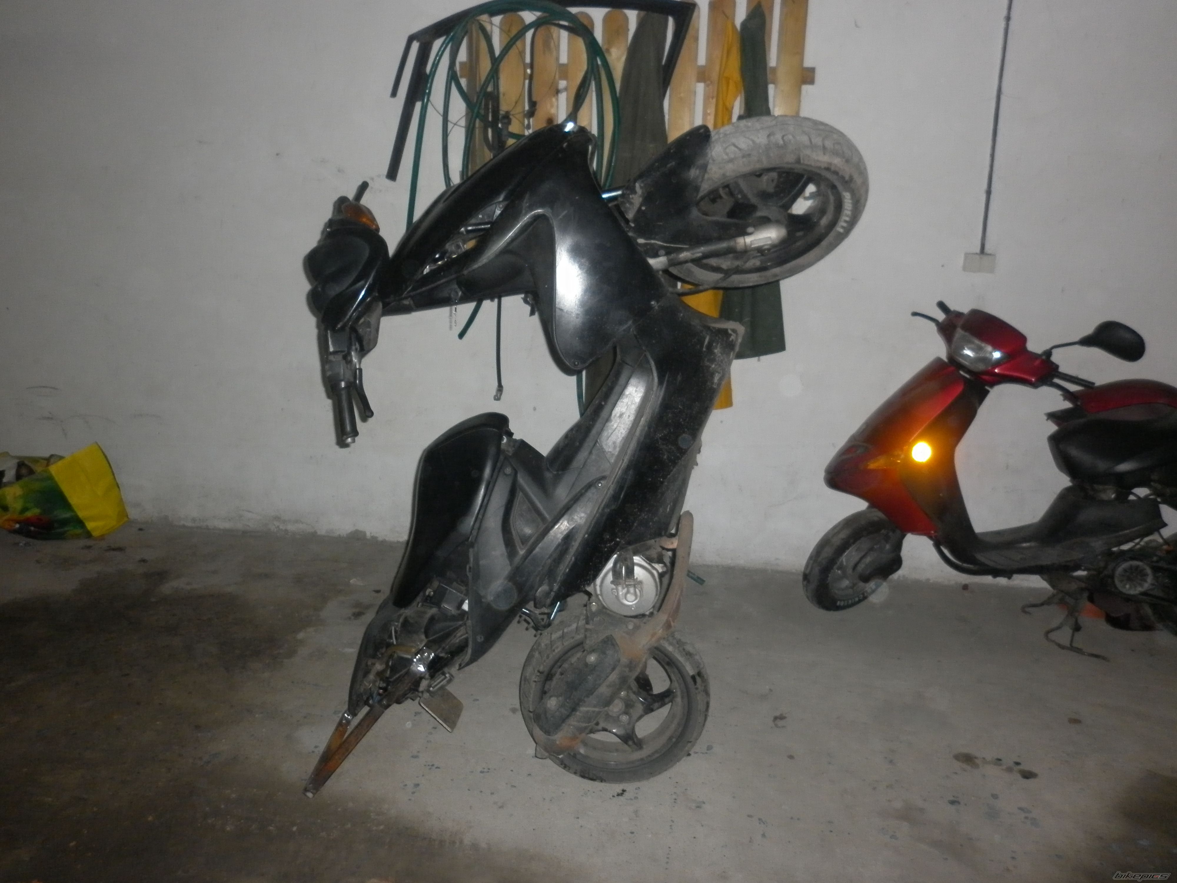 Photo 2355733