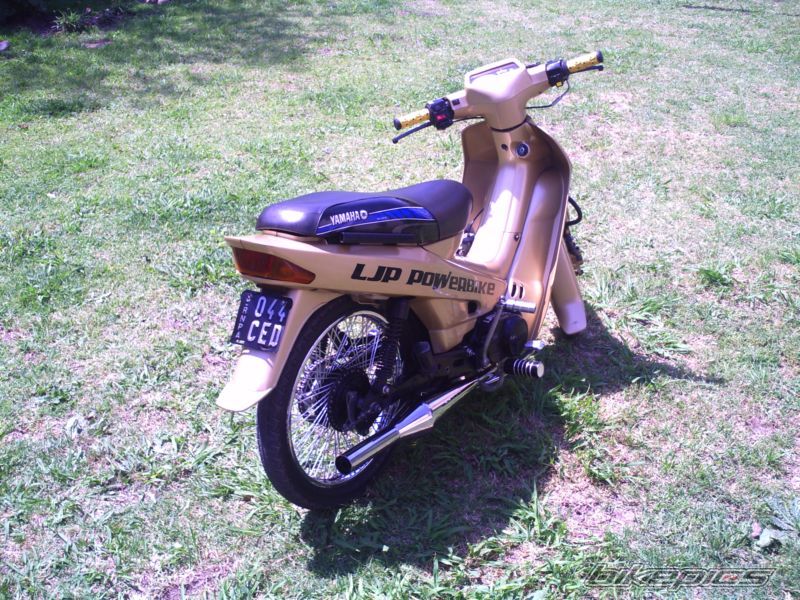 Photo 2355751