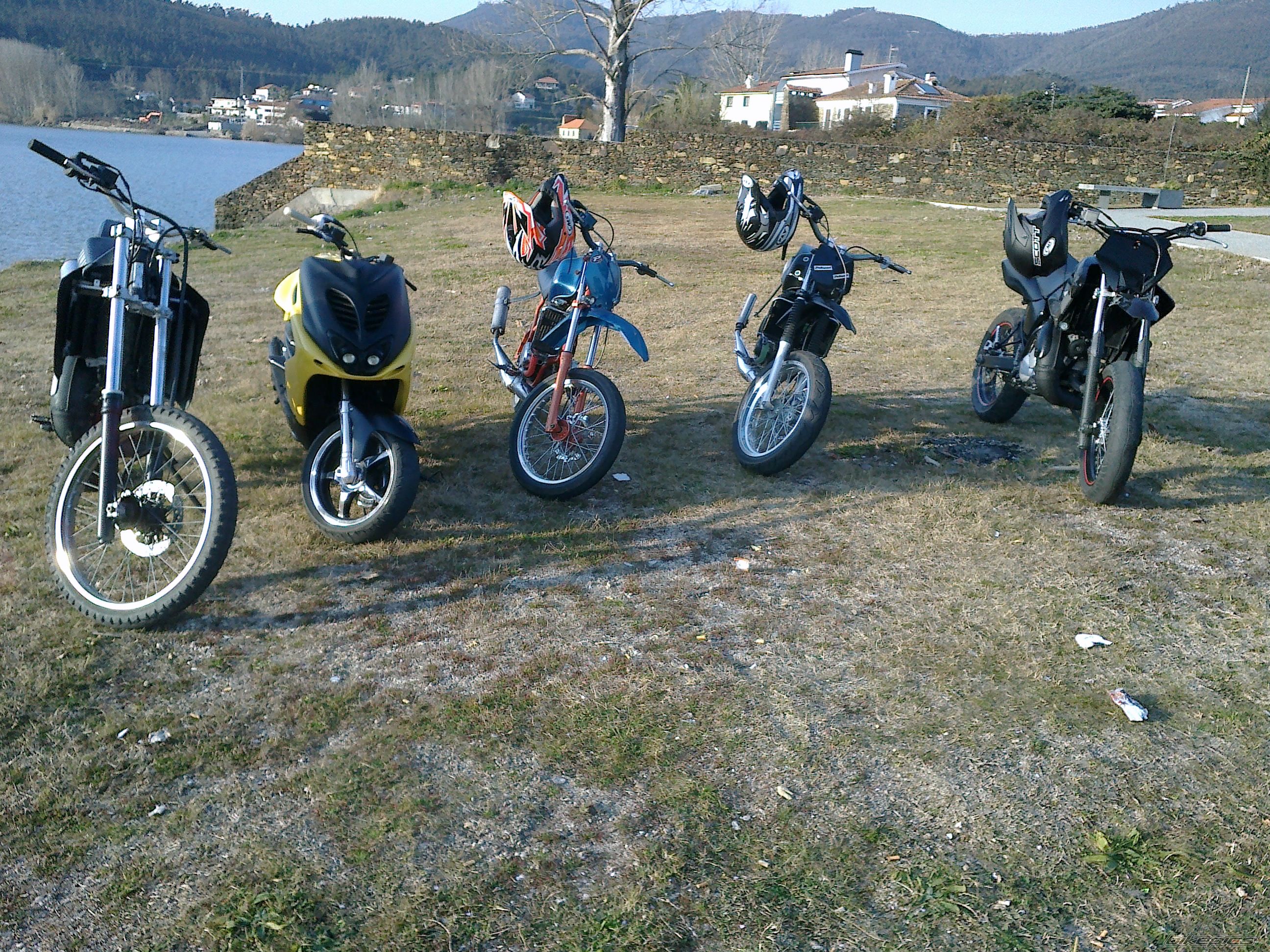 Photo 2355853