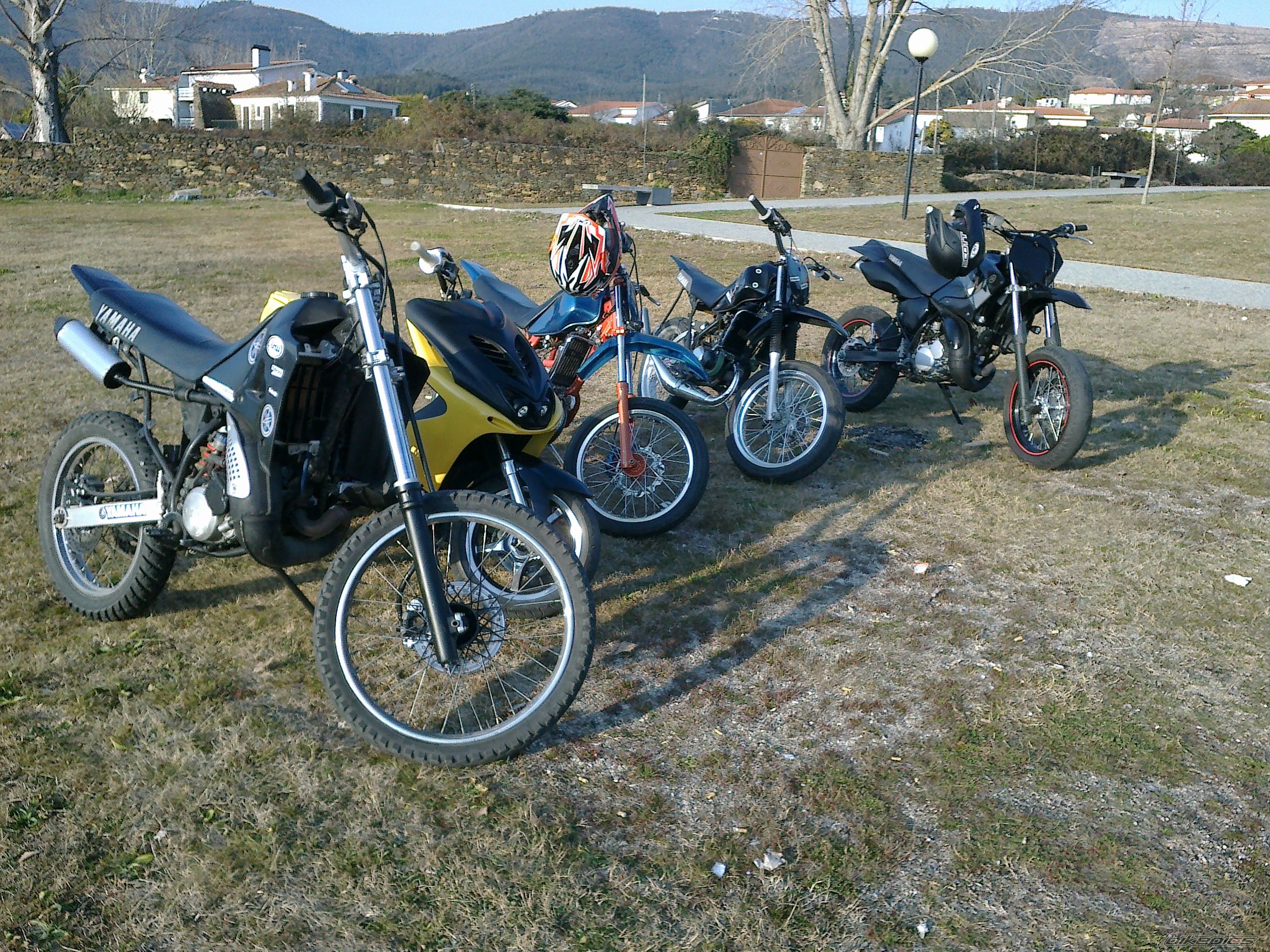 Photo 2355854