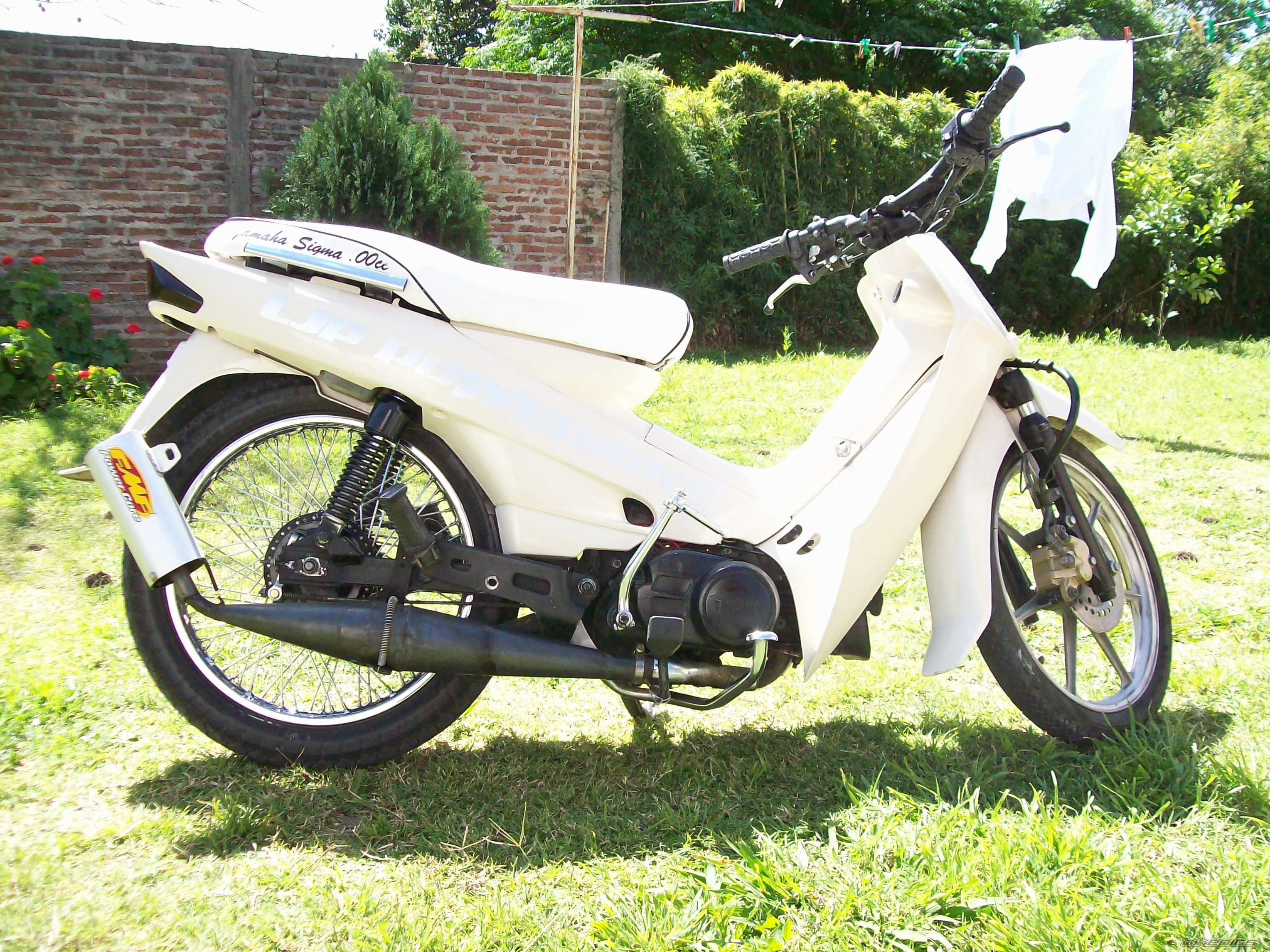 Photo 2355882