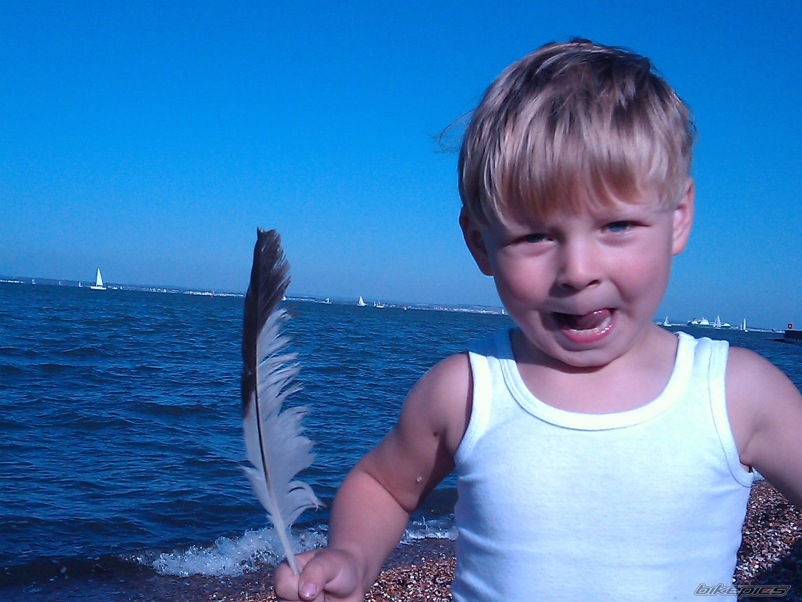 Photo 2356082