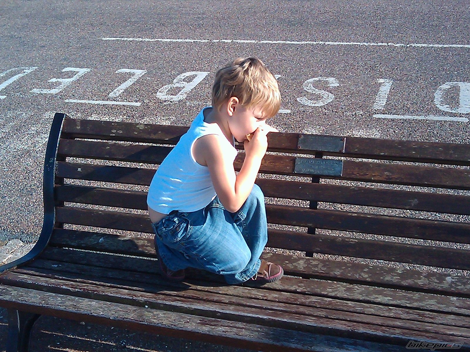 Photo 2356084