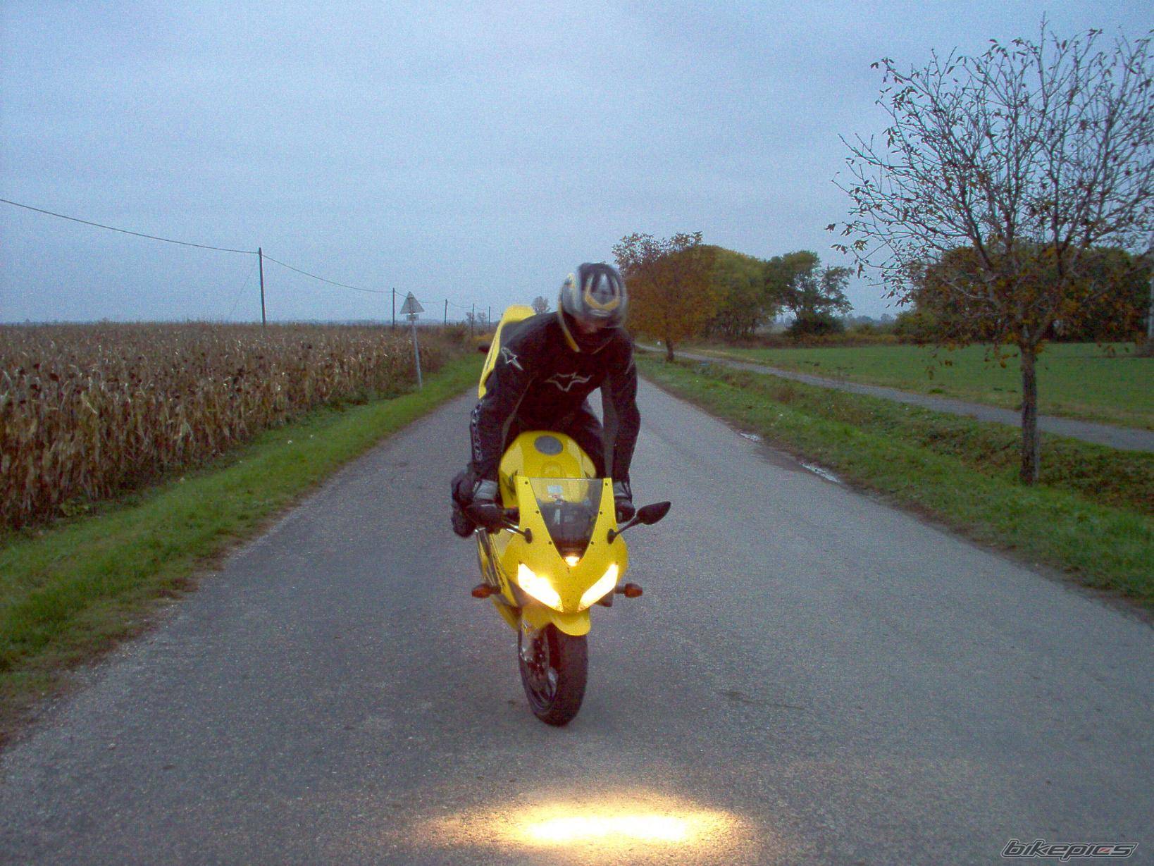 Photo 235620