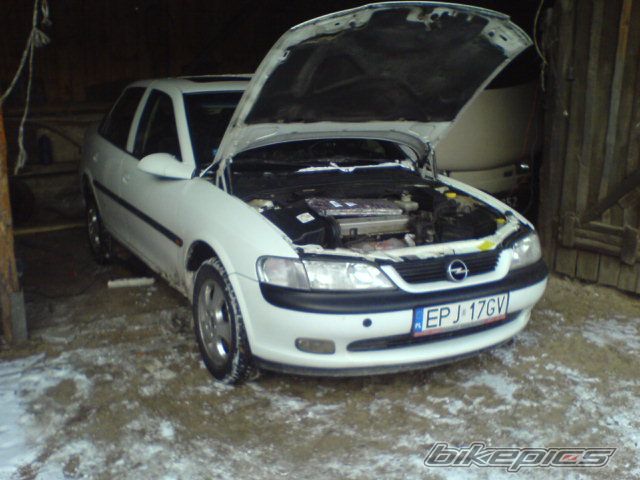 Photo 2356258