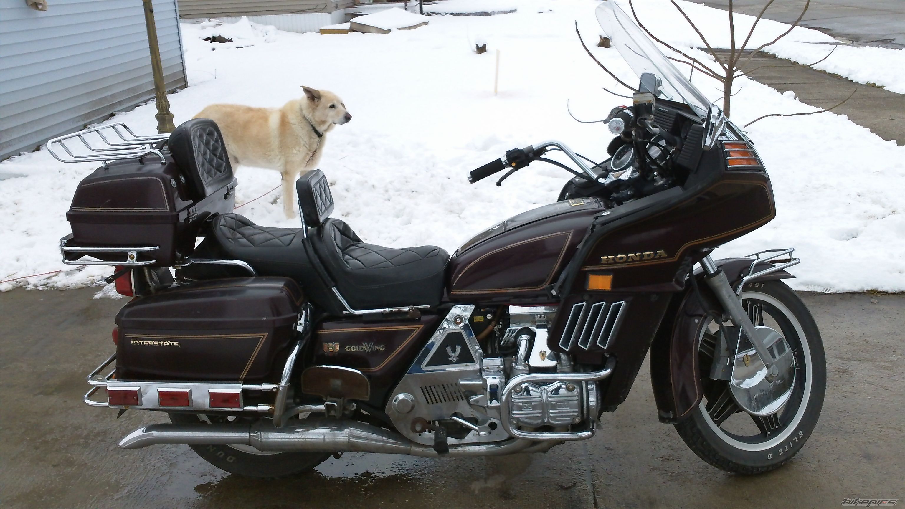 Photo 2356275