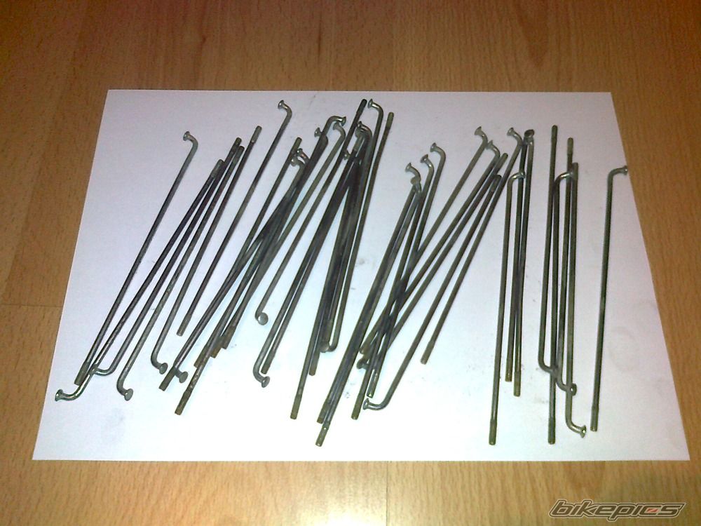 Photo 2356489