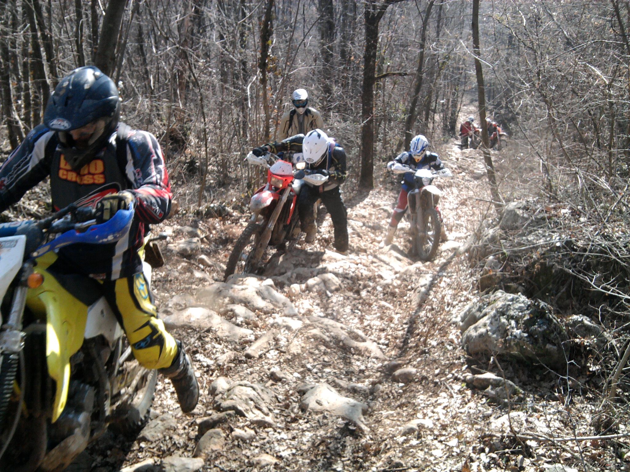 Bike Photo 2356556